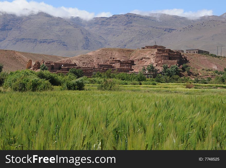 Green field photographed against the background of Atlas mountains