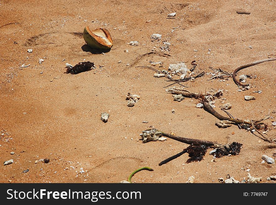 Nature details in a tropical beach sand surface. Nature details in a tropical beach sand surface