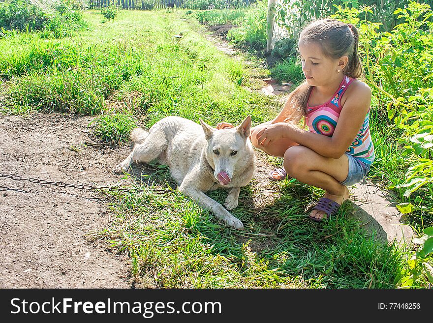 Girl Playing With A Dog