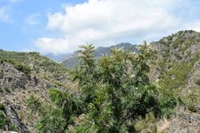 Mountain View From Frigiliana - Spanish White Village Andalusia Stock Image