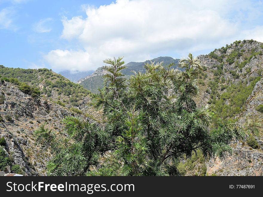 Mountain View From Frigiliana - Spanish White Village Andalusia