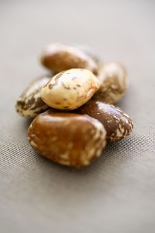 Different Beans Stock Photo Different Beans Stock Photo