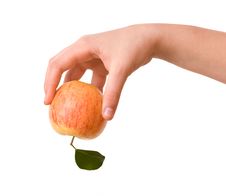 Girl S Hand With Apple Royalty Free Stock Images Girl S Hand With Apple Royalty Free Stock Images