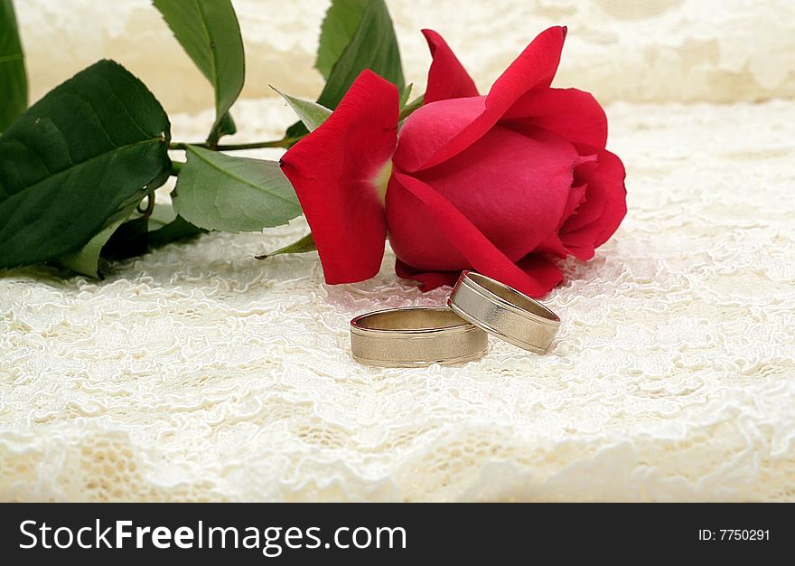 Wedding rings and red rose. Wedding rings and red rose