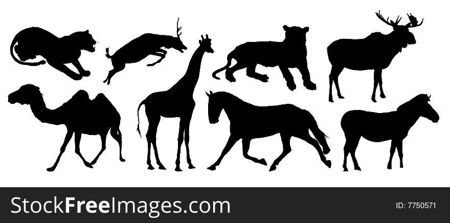 Silhouettes of various animals on white