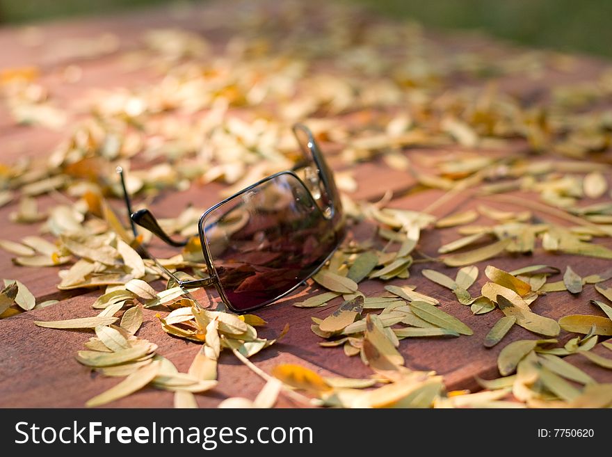 Sunglasses on wooden table with yellow leaves around them