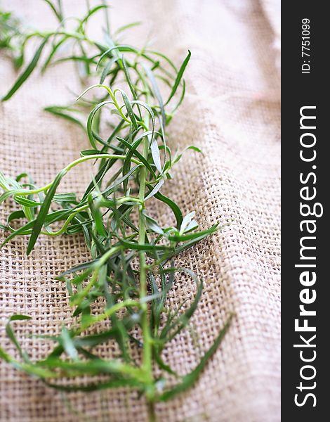 Tarragon spice on tablecloth on table. Tarragon spice on tablecloth on table