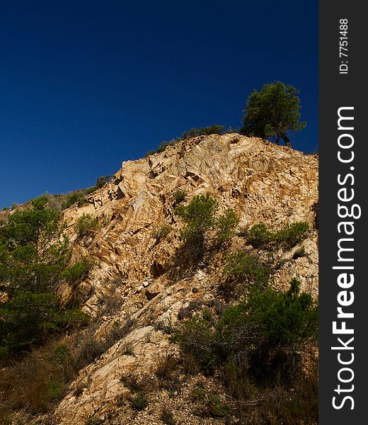 Isoleted tree on a bare rock against blue sky. Isoleted tree on a bare rock against blue sky