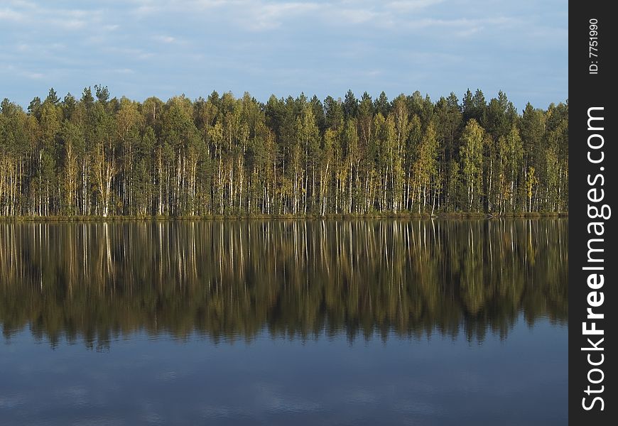 Forest and sky reflected in the lake. Forest and sky reflected in the lake.