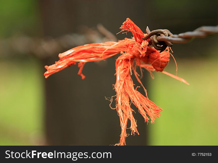 Red Cloth In Barb Wire