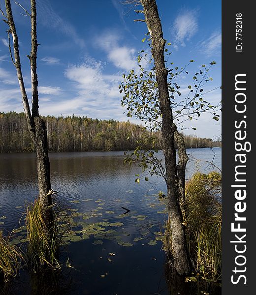 The lake in the forest, autumn landscape.