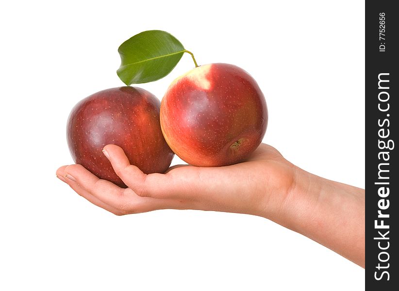 Girl's hand with two apples  isolated on white background