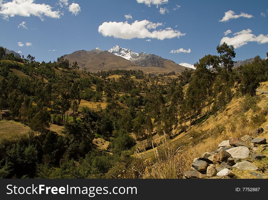 Andean Landscape