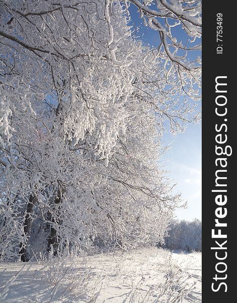 Winter landscape - edge of a groove covered with deep snow