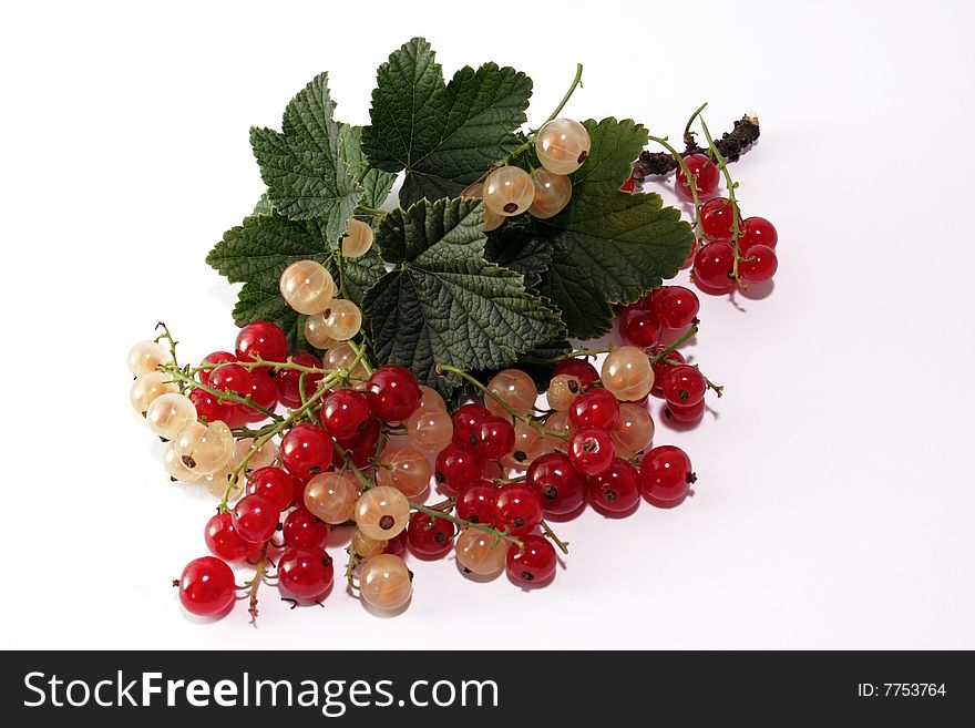 Red and white currant on the neutral background