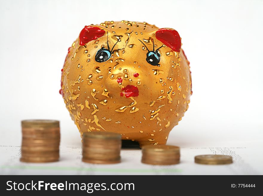 Piggy Bank With Icon