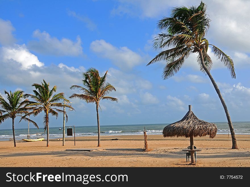 Beach with palm trees and parasol table. Beach with palm trees and parasol table