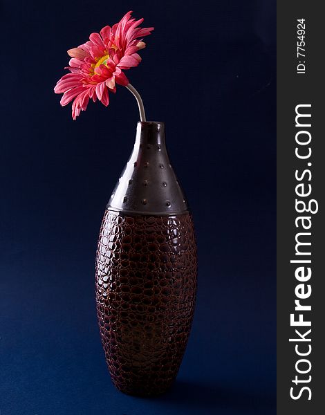 A single gerbera daisy in a vase