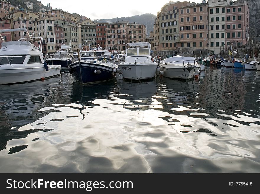 Camogli famous tourist resort in italy ligure,gull