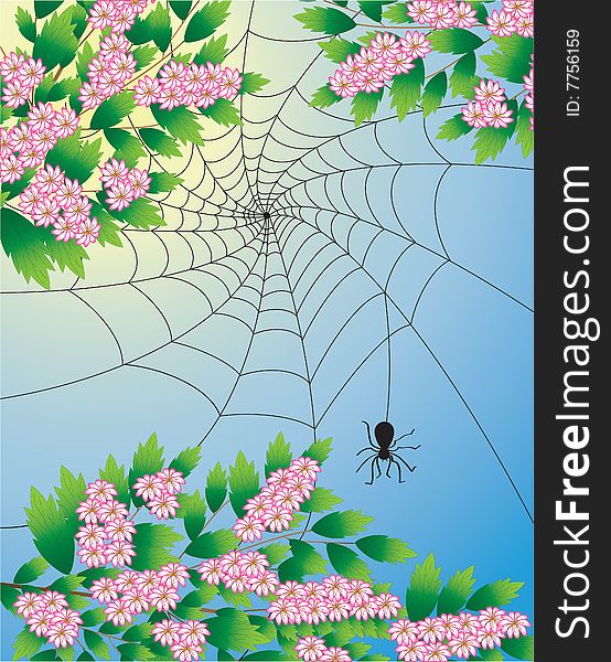 The vector illustration contains the image of spring tree with spider