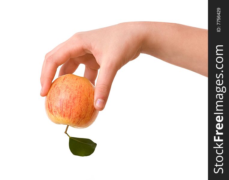 Girl's hand with apple  isolated on white background. Girl's hand with apple  isolated on white background