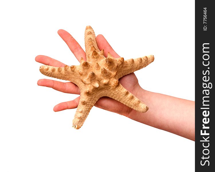 Girl's hand holding starfish isolated on white background