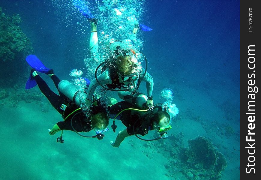 Egypt - Red Sea, divers and corals