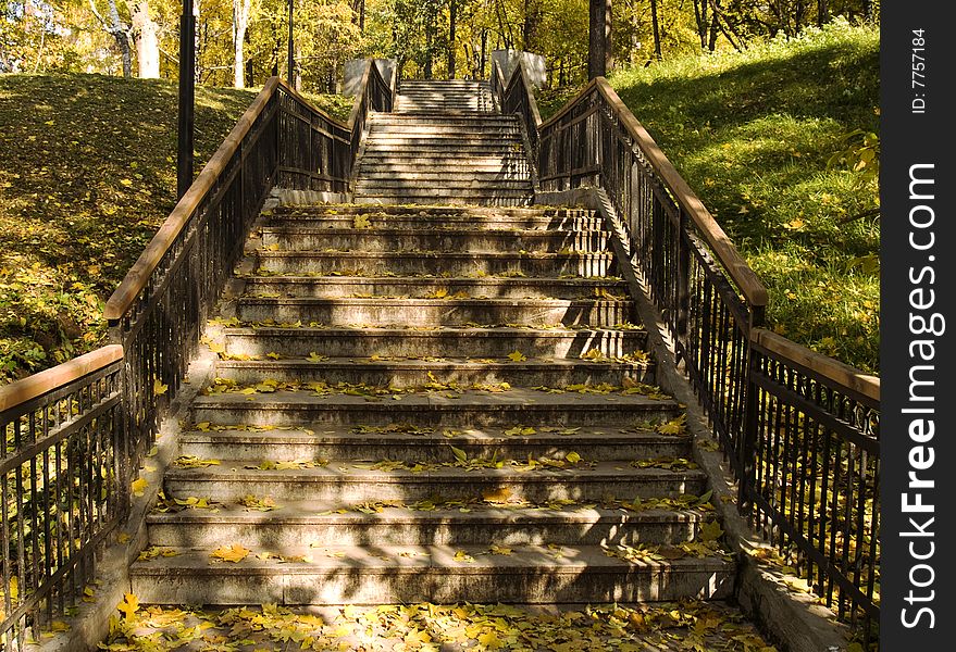 The old stone staircase in the park. The old stone staircase in the park.