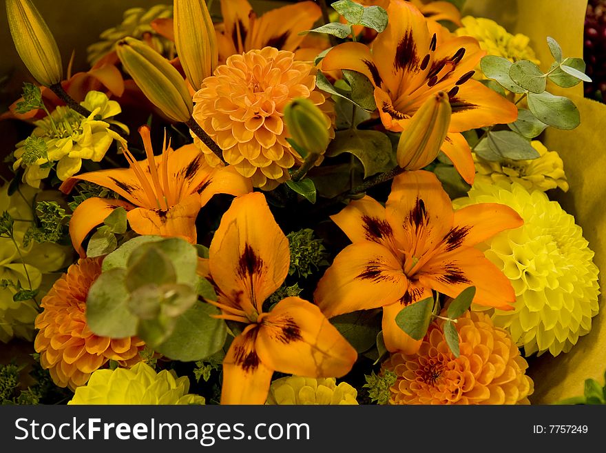 Bright Orange and Yellow Flowers