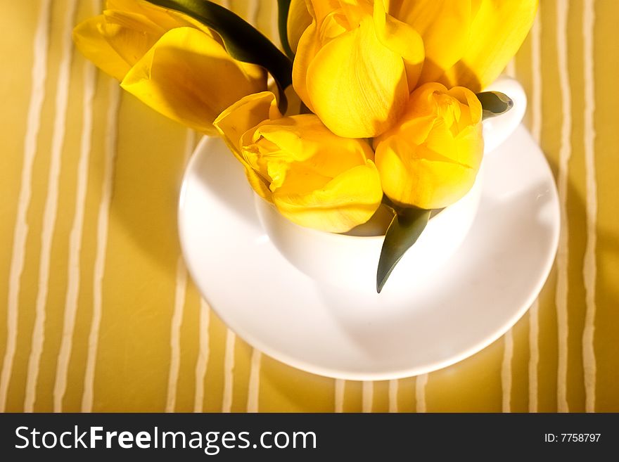 Yellow tulip in the cup over yellow background, use soft filter. Yellow tulip in the cup over yellow background, use soft filter