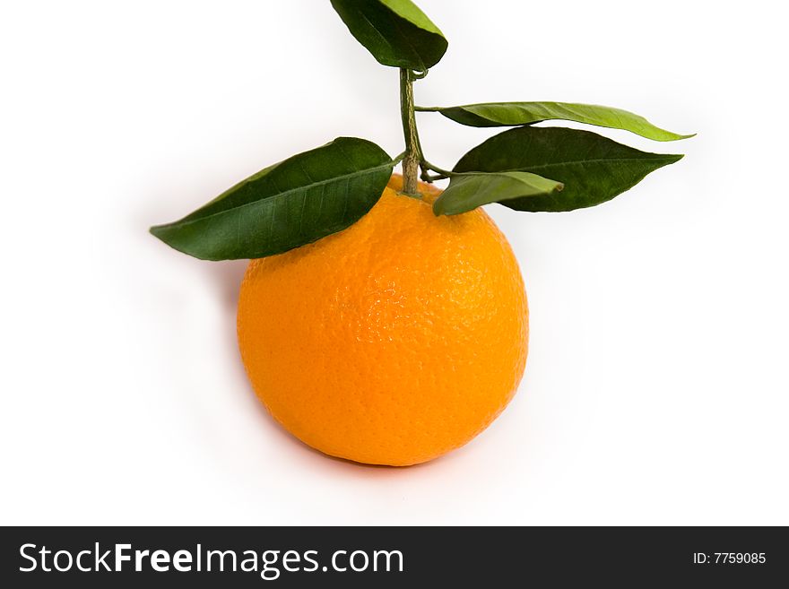 Fresh orange on white background