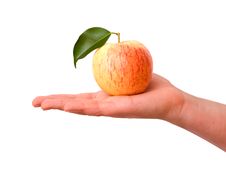 Girl S Hand With Apple Stock Images Girl S Hand With Apple Stock Images