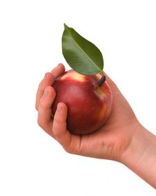 Girl S Hand With Apple Stock Photos Girl S Hand With Apple Stock Photos