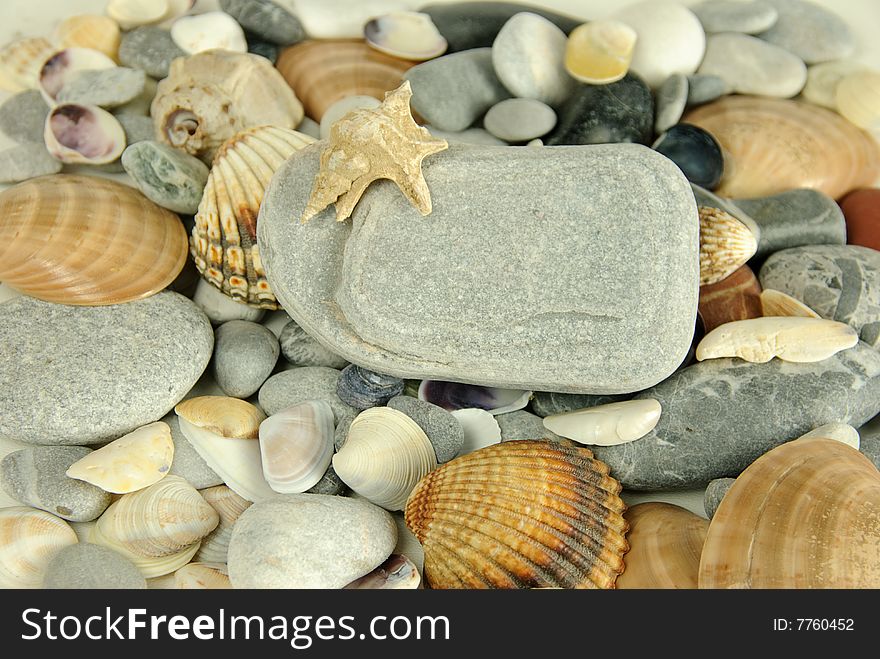 Shells and stones