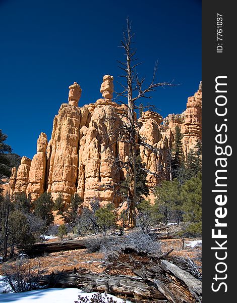 Red Canyon is located along Scenic Byway 12, just 9 miles from Bryce Canyon. Red Canyon is located along Scenic Byway 12, just 9 miles from Bryce Canyon.