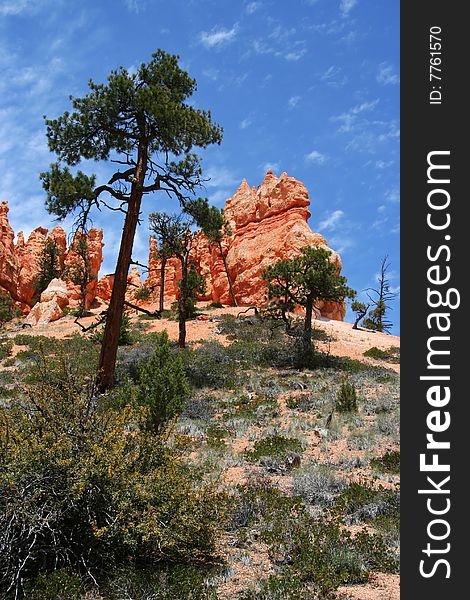 Hoodoos on a hill against an afternoon sky in Bryce Canyon, Utah. Hoodoos on a hill against an afternoon sky in Bryce Canyon, Utah