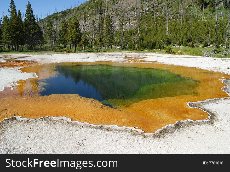 This picture was taken in a Yellowstone National Park in summer. This picture was taken in a Yellowstone National Park in summer.