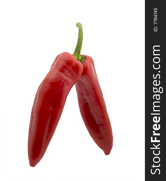 Two bitter pepper of red colour isolated on a white background. Two bitter pepper of red colour isolated on a white background