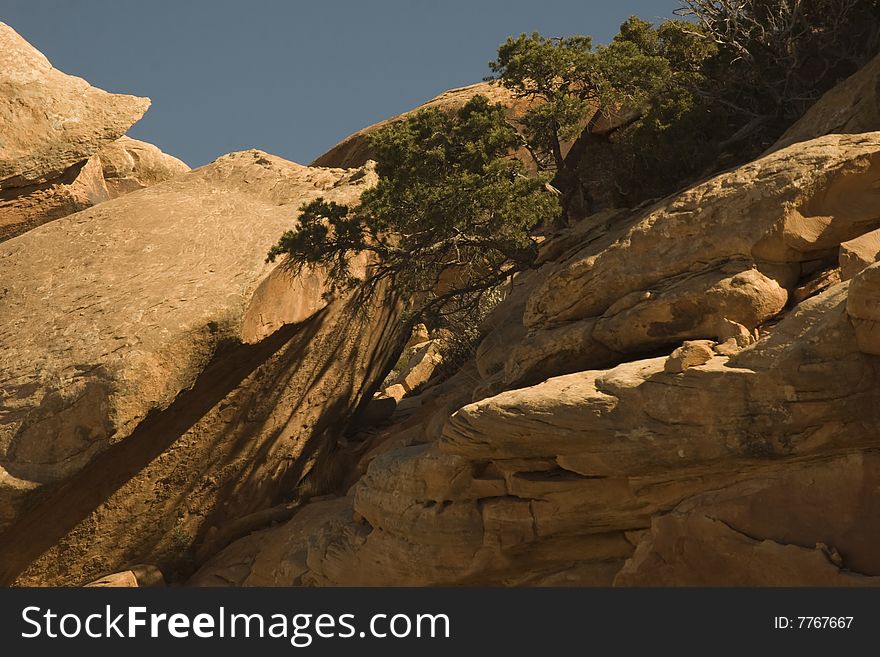 Desert rock face with scrub trees. Desert rock face with scrub trees