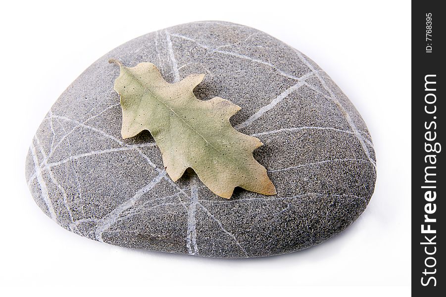 Stone with dry leaf on a white background