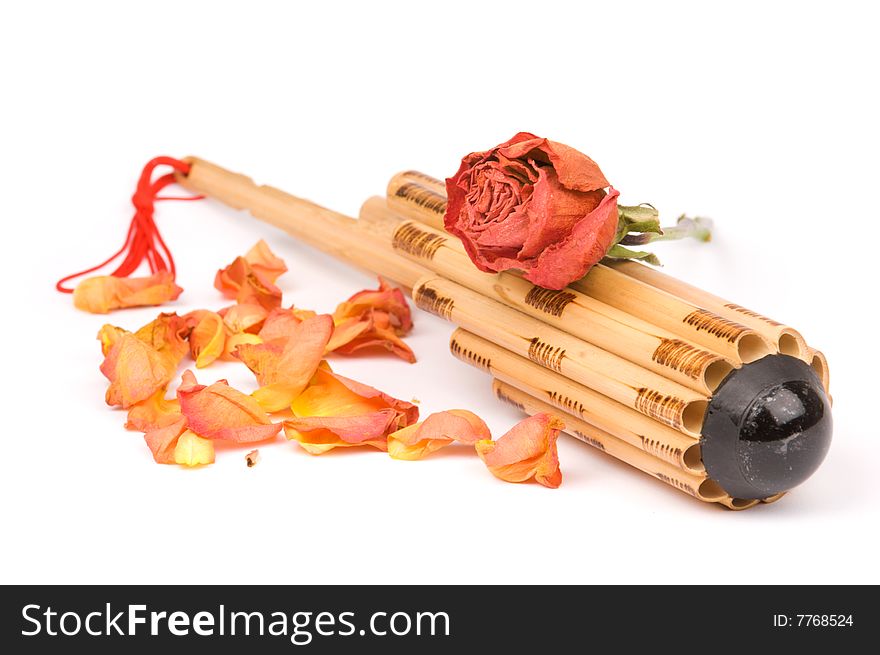 Asian wind instrument with dried rose on it and rose petals around, isolated on white background