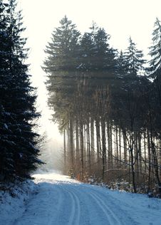 Cross-country Skiing Snowtrack Stock Photos Cross-country Skiing Snowtrack Stock Photos
