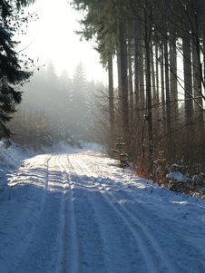Cross-country Skiing Snowtrack Royalty Free Stock Image Cross-country Skiing Snowtrack Royalty Free Stock Image