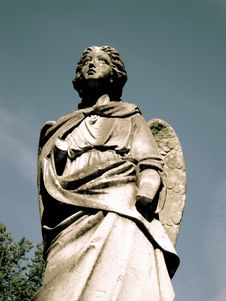 Forever An Angel Stock Images Forever An Angel Stock Images