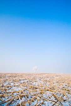 Winter Landscape With Frosted Trees Royalty Free Stock Photos Winter Landscape With Frosted Trees Royalty Free Stock Photos