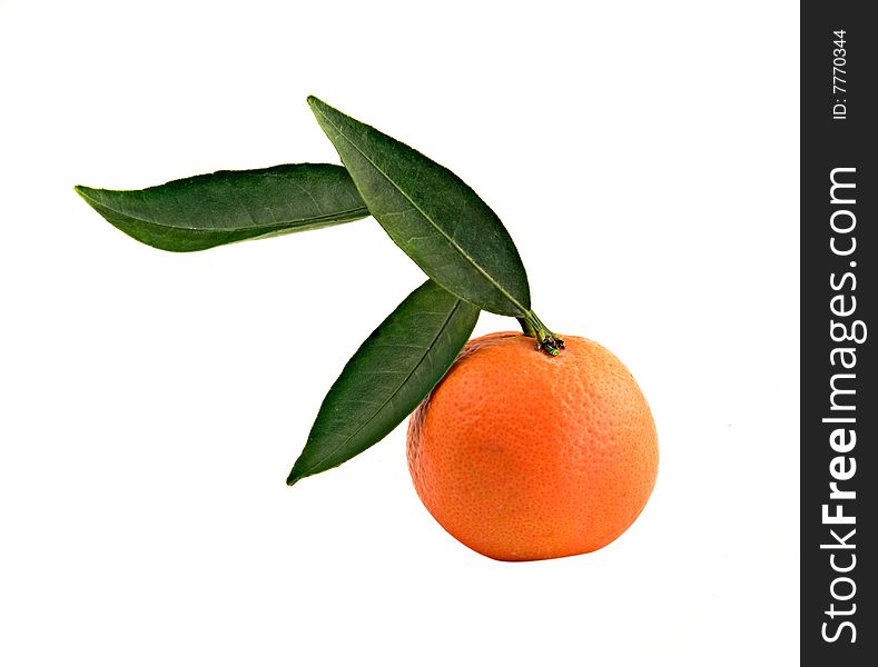 Tangerine isloated on white background