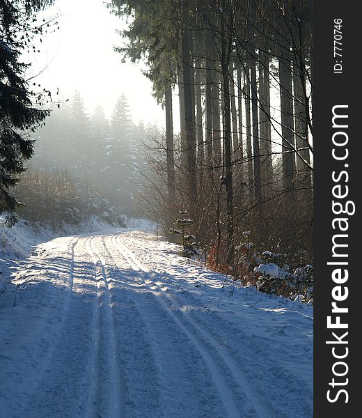 Cross-country skiing snowtrack in forest