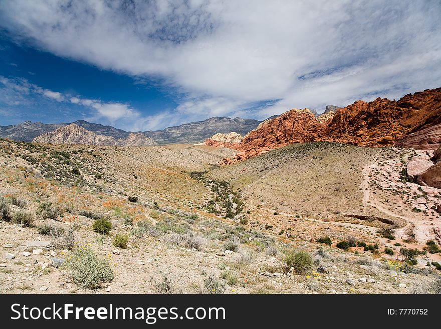 Small valley in the Red Rock Canyon National Reserve, Nevada, USA near Las Vegas. Spring desert flowers in the foreground, mountains in the background. Small valley in the Red Rock Canyon National Reserve, Nevada, USA near Las Vegas. Spring desert flowers in the foreground, mountains in the background.