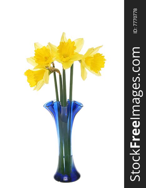 Bunch of daffodils in a blue vase