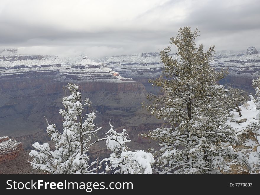 Grand Canyon In Winter 5